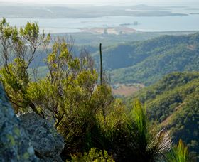Mount Larcom Climb - Attractions Perth 1