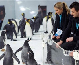 SEA LIFE Melbourne Aquarium - Attractions Perth 2