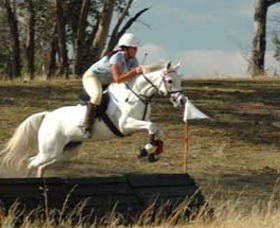 National Equestrian Centre - Kerrabee - Attractions Perth 0