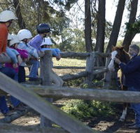Harlow Park Horse Riding - Attractions Perth