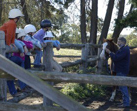 Harlow Park Horse Riding - Attractions Perth 0