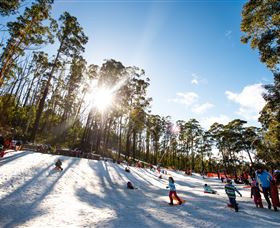 Corin Forest Mountain Resort - Attractions Perth 1