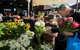 Capital Region Farmers Markets - thumb 0