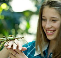 CSIRO Discovery Centre - Attractions Perth