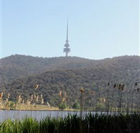 Black Mountain Peninsula - Attractions Perth