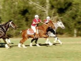 Morgan Park, Warwick - Attractions Perth 0