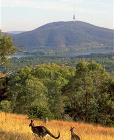 Canberra Centenary Trail - Attractions Perth 0