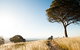 Canberra Centenary Trail - thumb 1