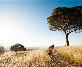 Canberra Centenary Trail - Attractions Perth 1
