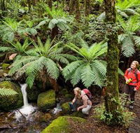 Baw Baw National Park - Attractions Perth
