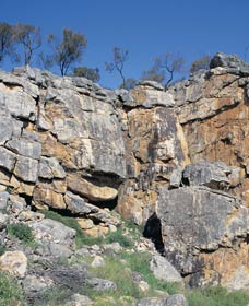 Watheroo National Park - Attractions Perth 0