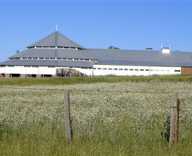 Deeargee Woolshed - Attractions Perth 0