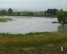 Jerrabomberra Wetlands - Attractions Perth 1