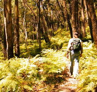 Federal Pass - Attractions Perth