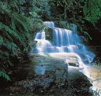 Leura Cascades - Attractions Perth