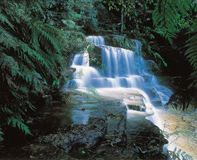 Leura Cascades - Attractions Perth 0