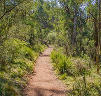 Mares Forest Creek walking track - Attractions Perth