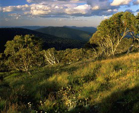 Namadgi National Park And Visitors Centre - Attractions Perth 2
