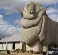 Big Merino - Attractions Perth