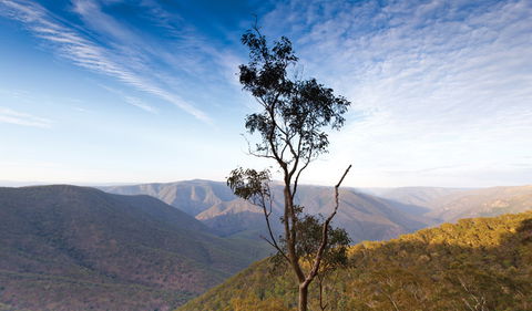 Salisbury Waters Walking Track - Attractions Perth 0
