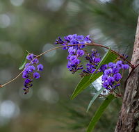 Mann River Nature Reserve - Attractions Perth
