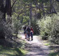 Syd's Rapids and Aboriginal Heritage Trail Avon Valley - Attractions Perth