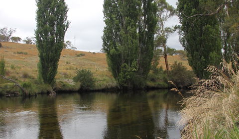 Thredbo River Picnic Area - Attractions Perth 3