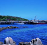 King Island Dairies - Attractions Perth