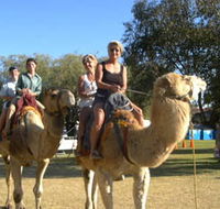Calamunnda Camel Farm  - Attractions Perth
