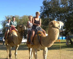 Calamunnda Camel Farm  - Attractions Perth 0