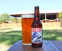 Feral Brewing Company