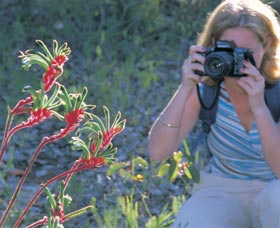 Kalamunda National Park - Attractions Perth 1