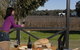 Upper Reach Winery And Cellar Door - thumb 1