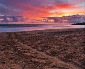 Mon Repos QLD Attractions Perth