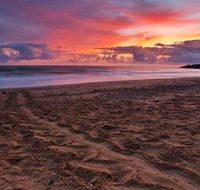 Mon Repos Beach - Attractions Perth