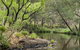 Koreelah National Park - thumb 1