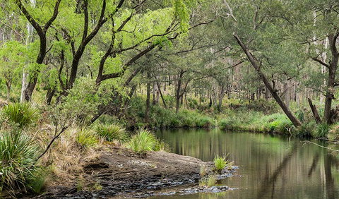 Koreelah National Park - Attractions Perth 1