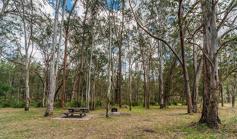 Koreelah National Park - Attractions Perth 3