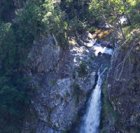 Lyrebird Falls walking track - Attractions Perth