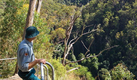 Lyrebird Falls Walking Track - Attractions Perth 1