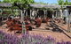 Pinelli Estate Wines - thumb 0