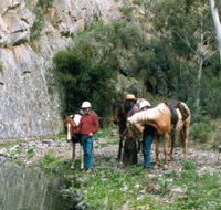 Yarramba Horse Riding - Attractions Perth
