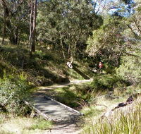 Wollomombi walking track - Attractions Perth