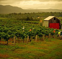Around Hermitage Wine and Food Trail Hunter Valley - Attractions Perth