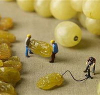 Hunter Valley Wine School - Attractions Perth