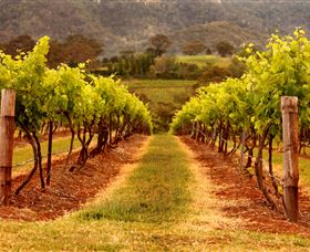 Hunter Valley Wine School - Attractions Perth 1