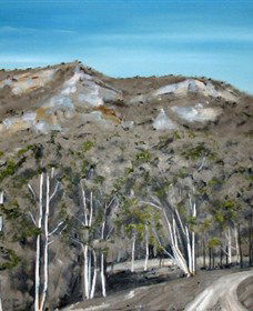 Greg Wilson Gallery - Attractions Perth 2