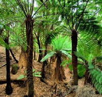 Pegarah Private Nature Reserve  Parenna Place - Attractions Perth