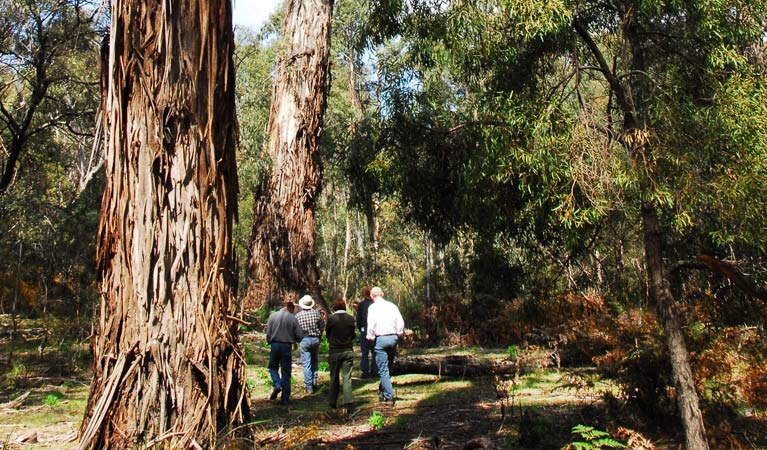 Tolwong NSW Attractions Perth