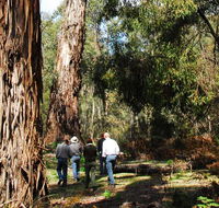 Tallaganda National Park - Attractions Perth